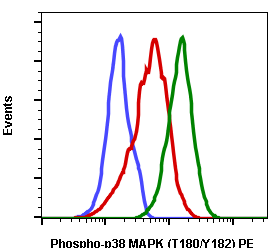 Phospho-p38 MAPK (Thr180/Tyr182) (E3) rabbit mAb PE conjugate Antibody