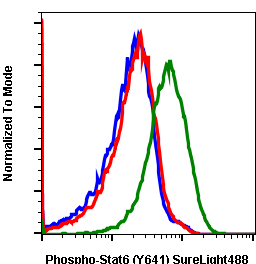 Phospho-Stat6 (Tyr641) rabbit mAb SureLight 488 conjugate