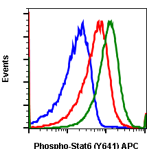 Phospho-Stat6 (Tyr641) (G12) rabbit mAb APC conjugate