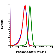 Phospho-Stat6 (Tyr641) (G12) rabbit mAb FITC conjugate