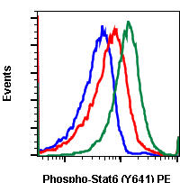 Phospho-Stat6 (Tyr641) rabbit mAb PE conjugate Antibody