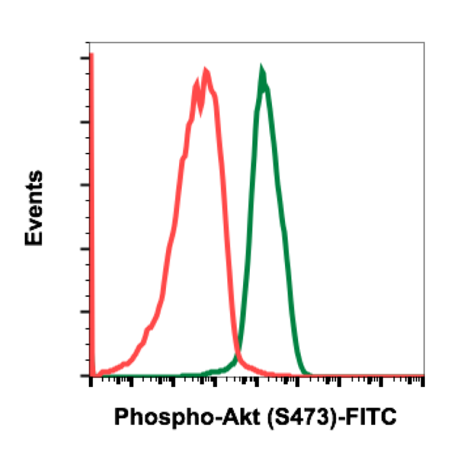 Phospho-Akt1 (Ser473) (C7) rabbit mAb FITC conjugate