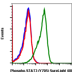 Phospho-Stat3 (Tyr705) (B12) rabbit mAb SureLight488 conjugate Antibody