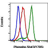 Phospho-Stat3 (Tyr705) (B12) rabbit mAb FITC conjugate Antibody