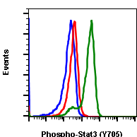 Phospho-Stat3 (Tyr705) (B12) rabbit mAb PE conjugate Antibody