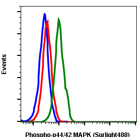 Phospho-p44/42 MAPK (Erk1/2) (Thr202/Tyr204) rabbit mAb SureLight 488 conjugate Antibody