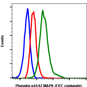 Phospho-p44/42 MAPK (Erk1/2) (Thr202/Tyr204) (A11) rabbit mAb FITC conjugate Antibody