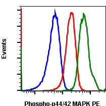 Phospho-p44/42 MAPK (Erk1/2) (Thr202/Tyr204) (A11) rabbit mAb PE conjugate Antibody
