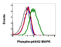 Phospho-p44/42 MAPK (Erk1/2) (Thr202/Tyr204) (A11) rabbit mAb Antibody