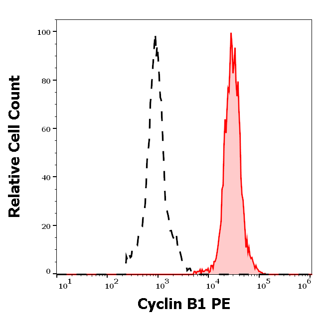 Cyclin B1 Antibody (PE)