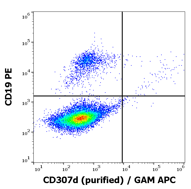 Anti-Hu CD307d Purified