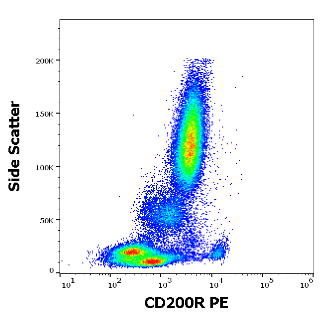 CD200R Antibody (PE)