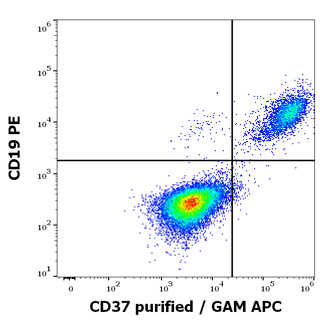 Anti-Hu CD37 Purified