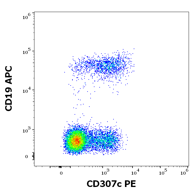 CD307c antibody (PE)