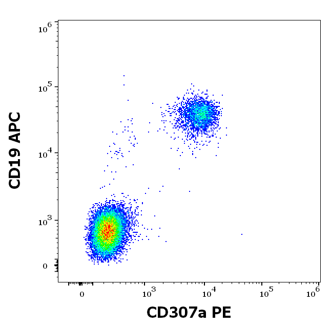 CD307a Antibody (PE)