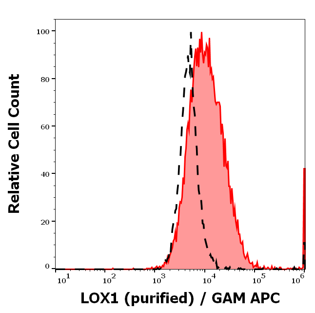 Anti-Hu LOX1 Purified