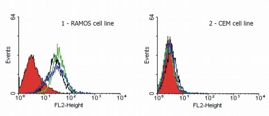 CD261 antibody