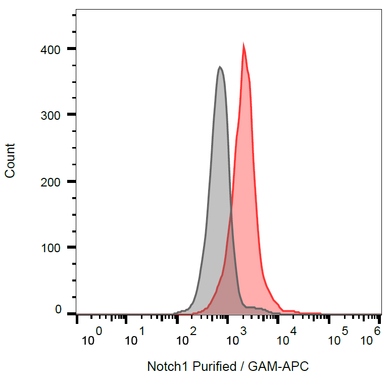 Notch 1 antibody