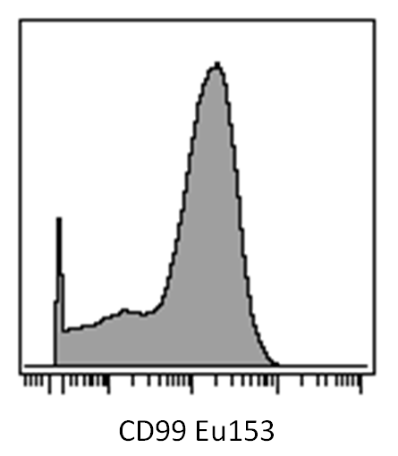 CD99 antibody