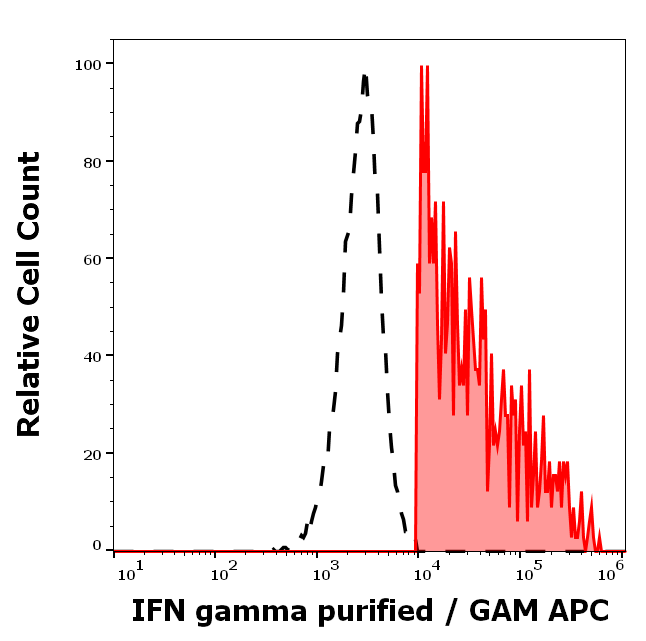 Anti-IFN gamma Purified