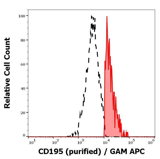 CD195 antibody