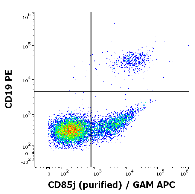 CD85j antibody