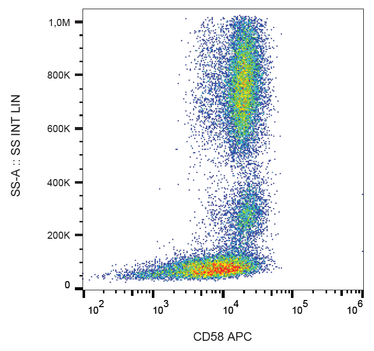 CD58 antibody (APC)