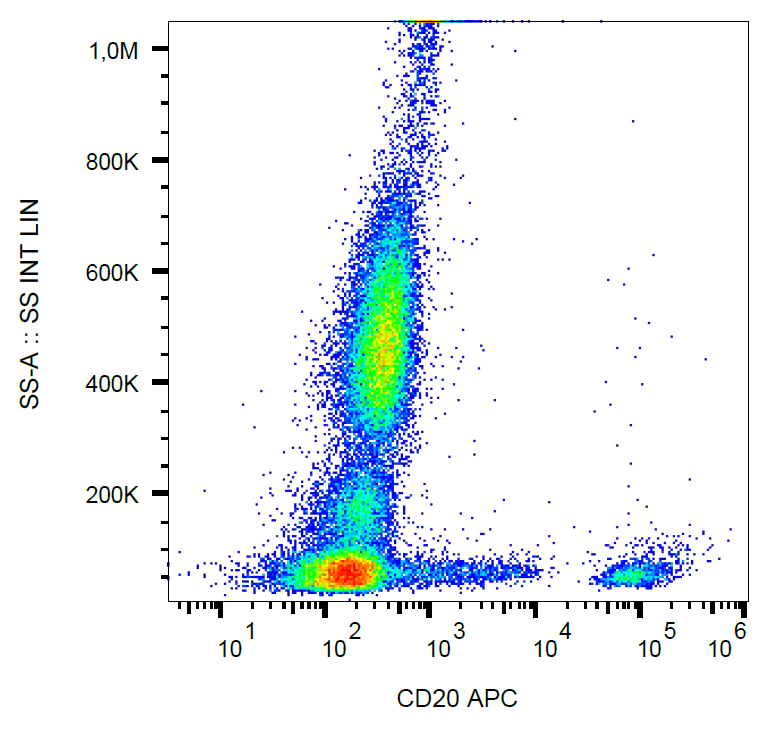 CD20 antibody (APC)