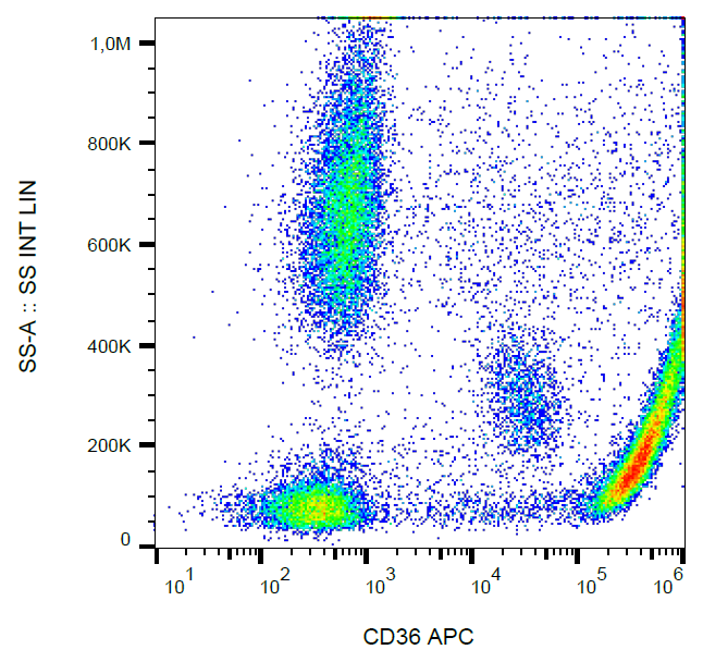 CD36 antibody (APC)