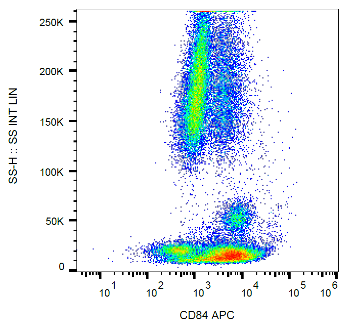 CD84 antibody (APC)