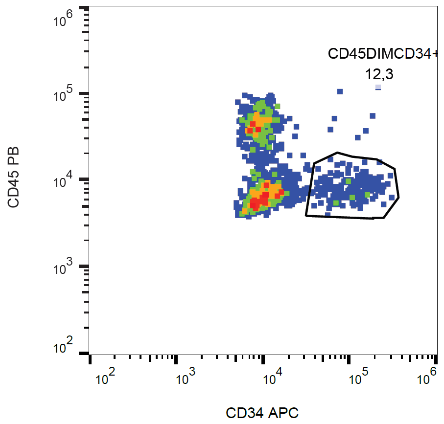 CD34 antibody (APC)