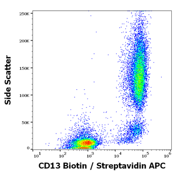 Anti-Hu CD13 Biotin