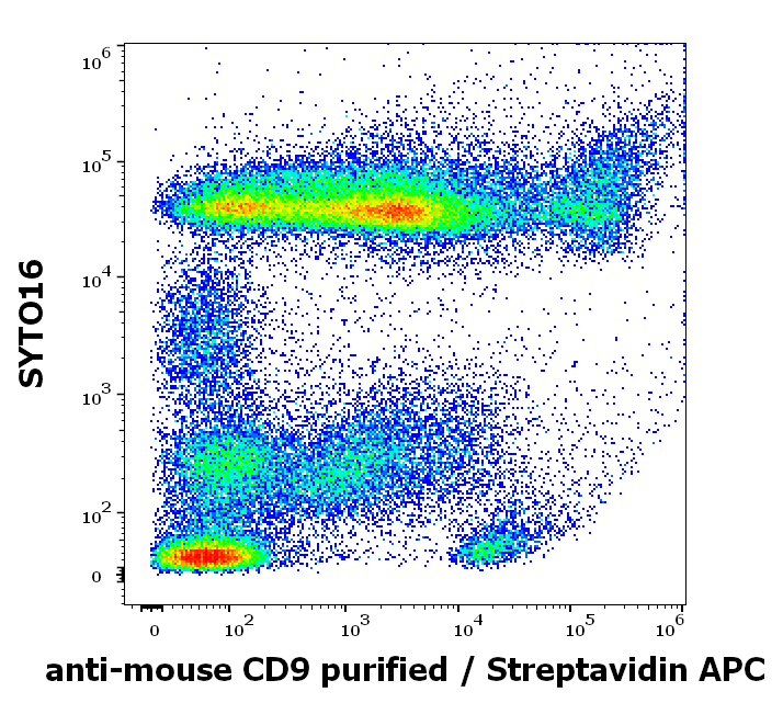 CD9 antibody (Biotin)