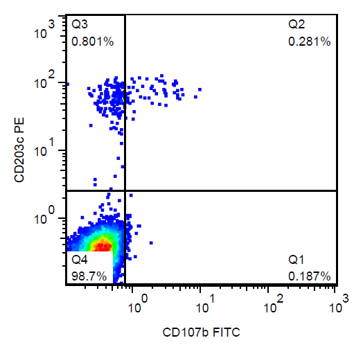 CD107b antibody (FITC)