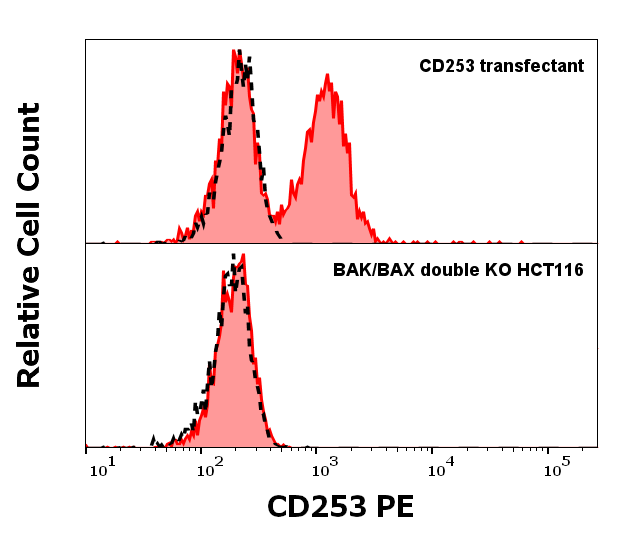 CD253 antibody (PE )