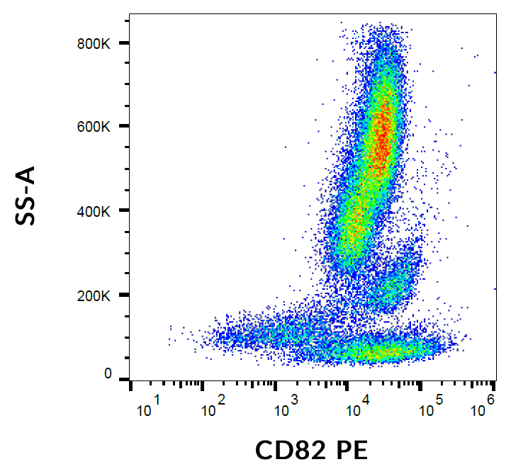 CD82 antibody (PE )