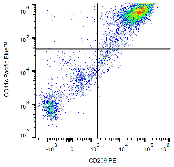 Anti-Hu CD209 PE