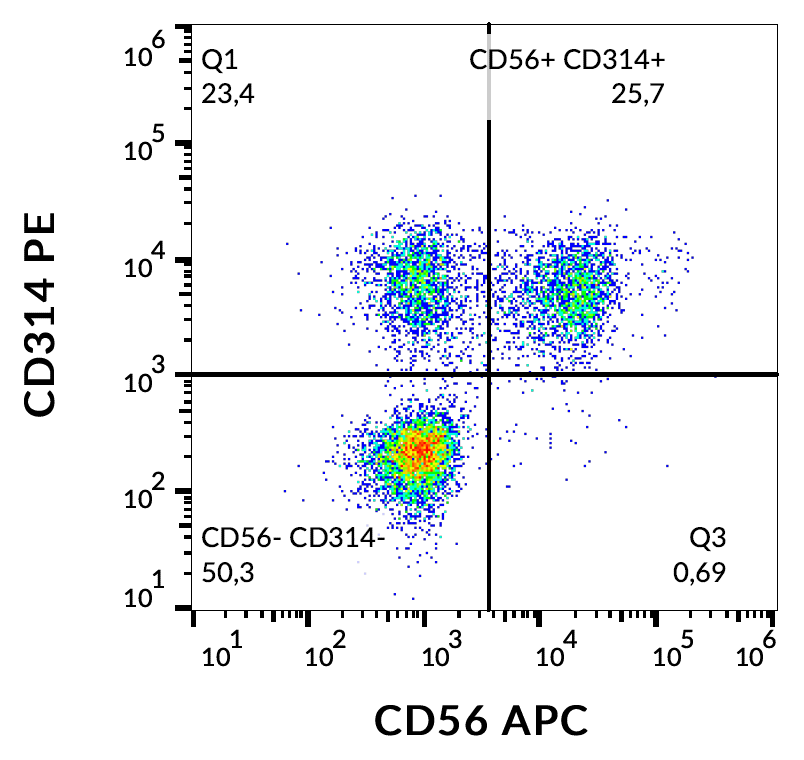 CD314 antibody (PE )