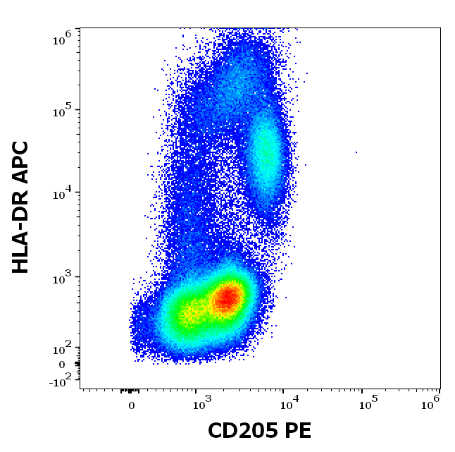 CD205 antibody (PE )
