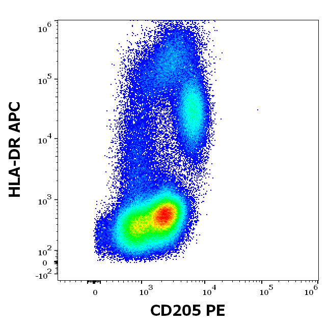 Anti-Hu CD205 PE