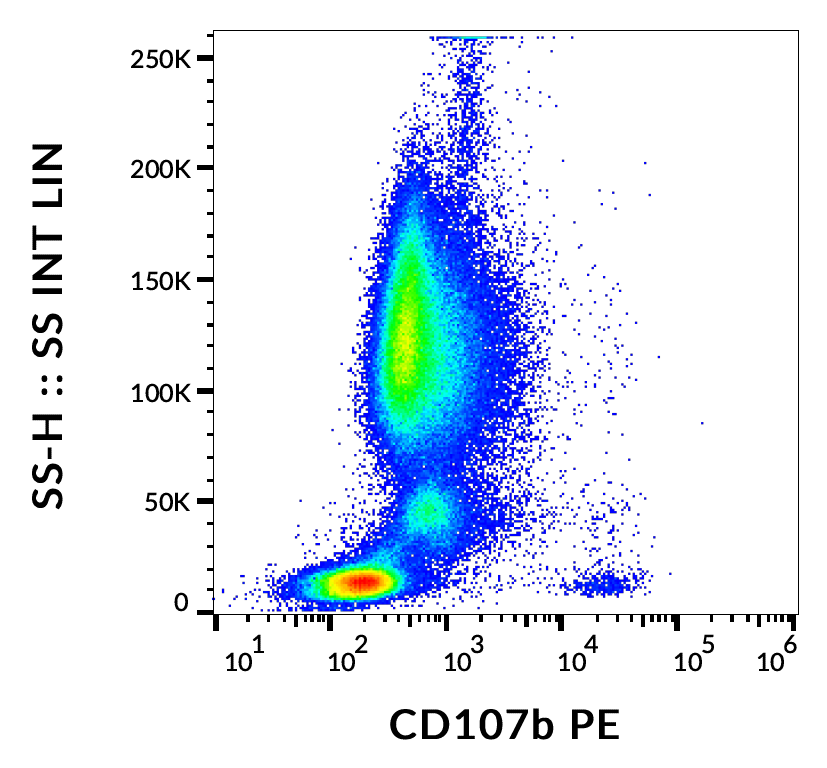CD107b antibody (PE )