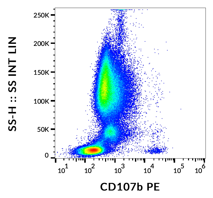 Anti-Hu CD107b PE