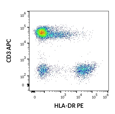 Anti-HLA-DR PE