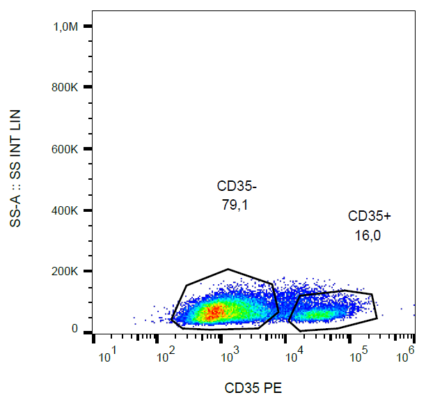 CD35 antibody (PE )
