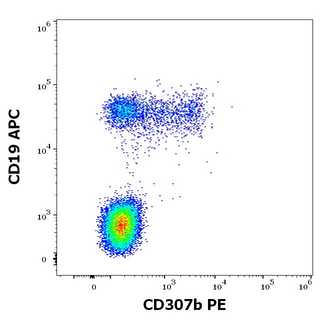Anti-Hu CD307b PE