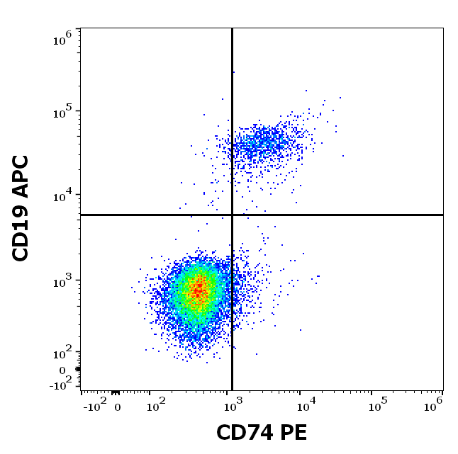 CD74 Antibody (PE)