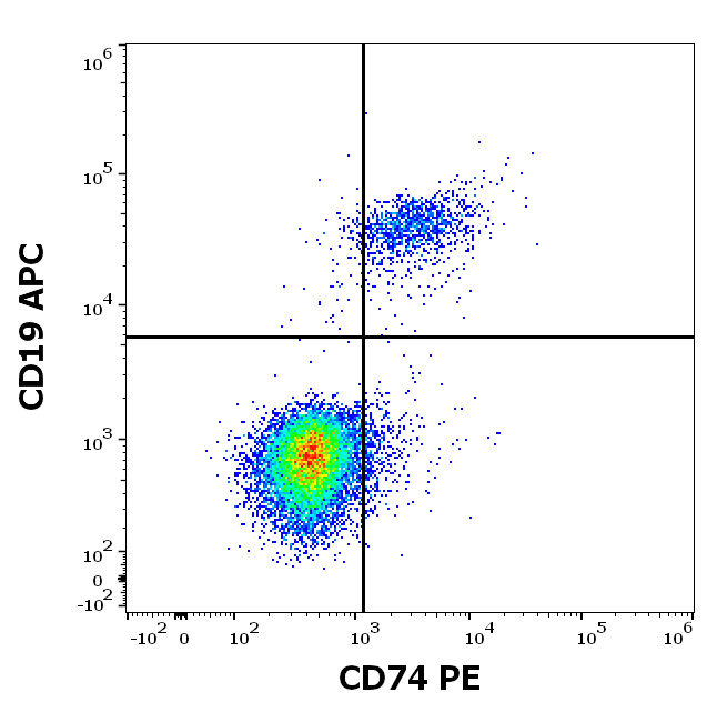 Anti-Hu CD74 PE