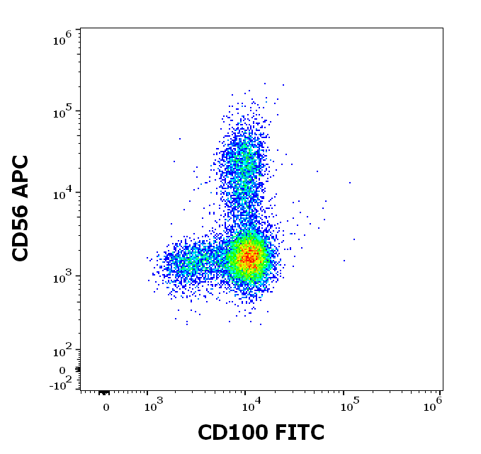 CD100 Antibody (FITC)