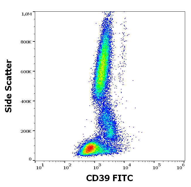 CD39 Antibody (FITC)