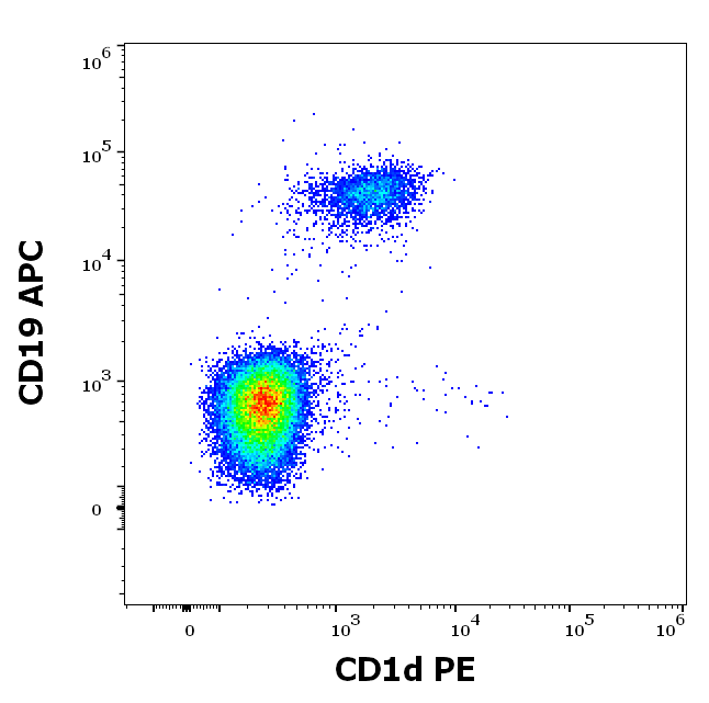 CD1d Antibody (PE)